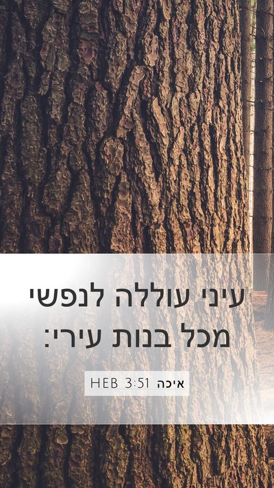 איכה 3:51 HEB Bible Verse Image