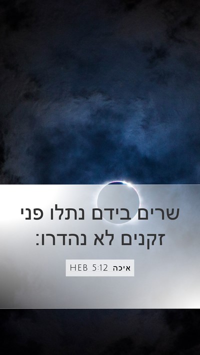 איכה 5:12 HEB Bible Verse Image