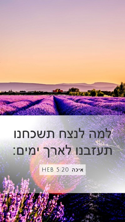 איכה 5:20 HEB Bible Verse Image