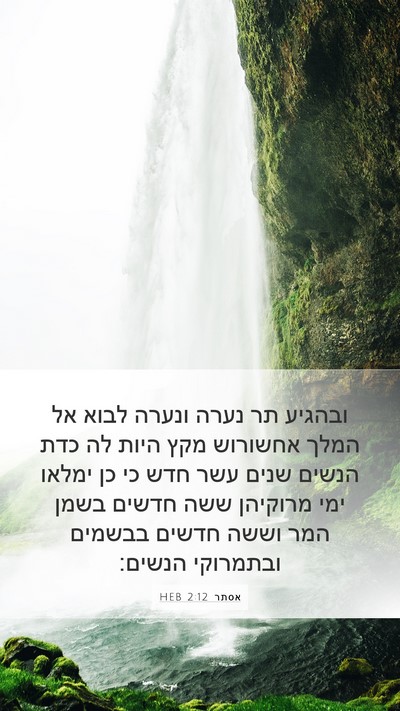 אסתר 2:12 HEB Bible Verse Image
