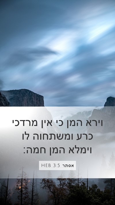 אסתר 3:5 HEB Bible Verse Image