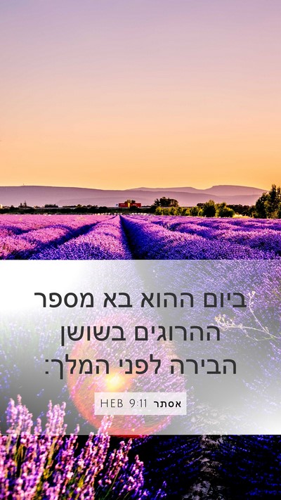 אסתר 9:11 HEB Bible Verse Image