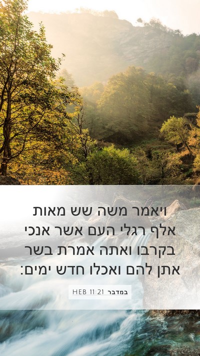 במדבר 11:21 HEB Bible Verse Image