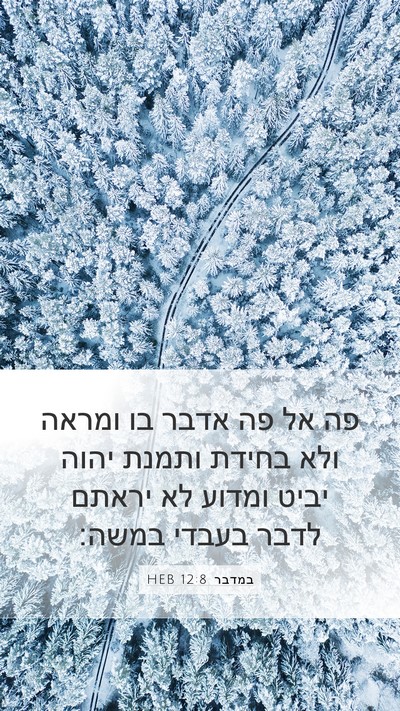 במדבר 12:8 HEB Mobile Phone Wallpaper - פה אל פה אדבר בו ומראה ולא - Mobile Bible Verse Wallpaper