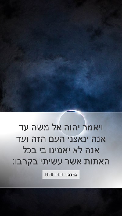 במדבר 14:11 HEB Bible Verse Image