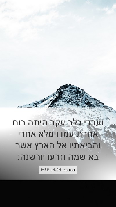 במדבר 14:24 HEB Bible Verse Image