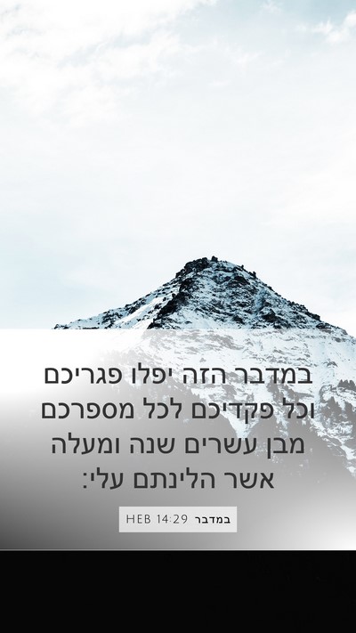 במדבר 14:29 HEB Bible Verse Image