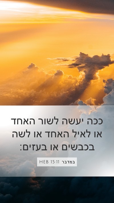 במדבר 15:11 HEB Bible Verse Image