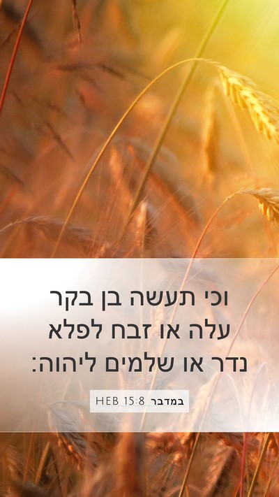 במדבר 15:8 HEB Bible Verse Image