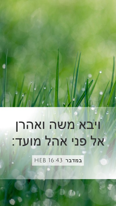 במדבר 16:43 HEB Mobile Phone Wallpaper - ויבא משה ואהרן אל פני אהל - Mobile Bible Verse Wallpaper