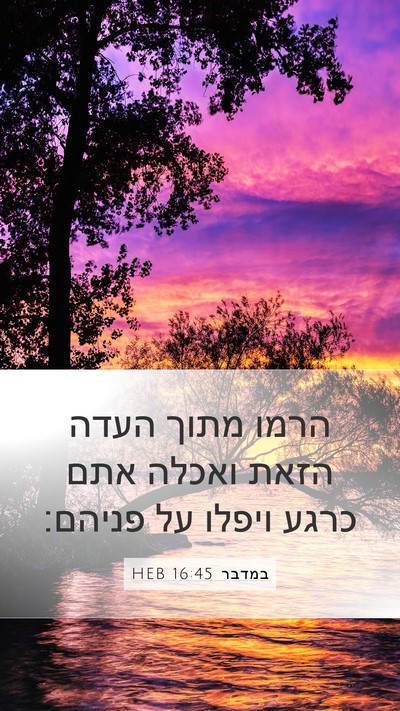 במדבר 16:45 HEB Bible Verse Image