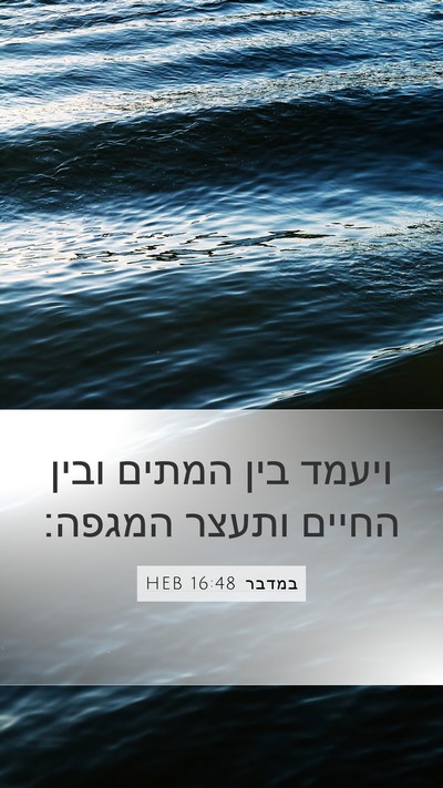 במדבר 16:48 HEB Bible Verse Image