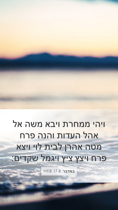 במדבר 17:8 HEB Bible Verse Image