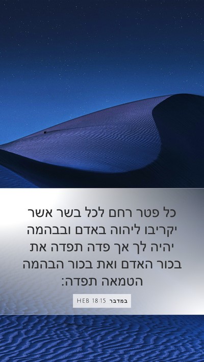 במדבר 18:15 HEB Bible Verse Image