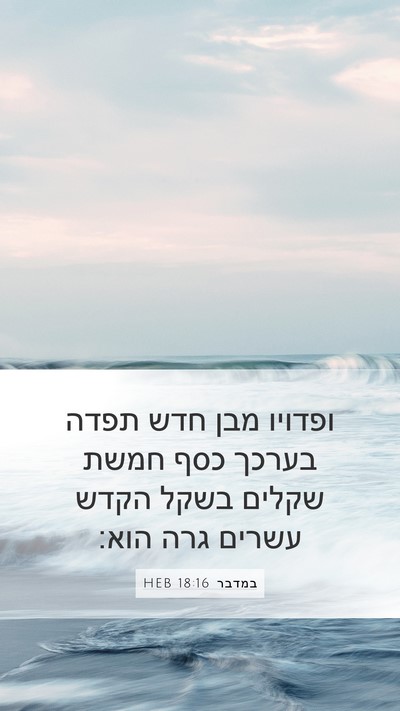 במדבר 18:16 HEB Bible Verse Image