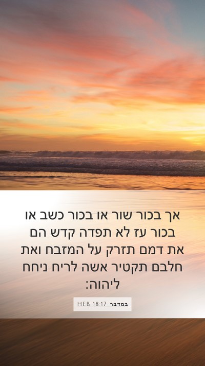 במדבר 18:17 HEB Mobile Phone Wallpaper - אך בכור שור או בכור כשב או - Mobile Bible Verse Wallpaper