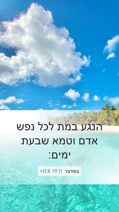 במדבר 19:11 HEB Bible Verse Image