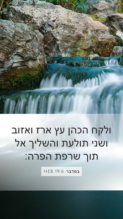 במדבר 19:6 HEB Mobile Phone Wallpaper - ולקח הכהן עץ ארז ואזוב ושני - Mobile Bible Verse Wallpaper