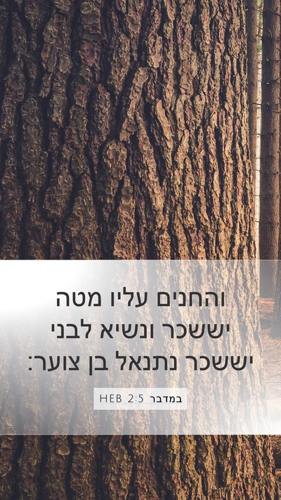 במדבר 2:5 HEB Bible Verse Image