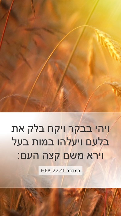 במדבר 22:41 HEB Bible Verse Image