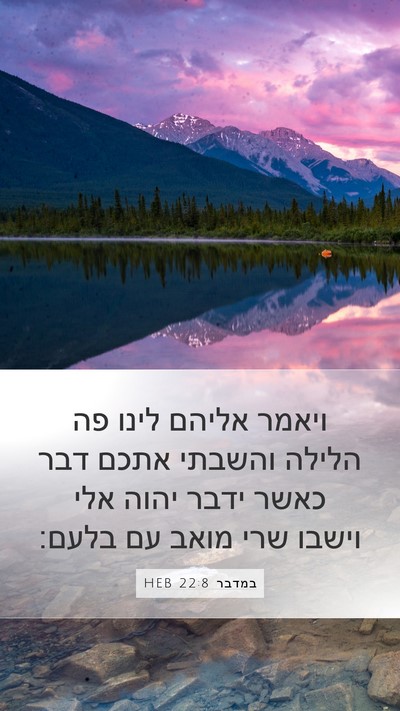 במדבר 22:8 HEB Bible Verse Image