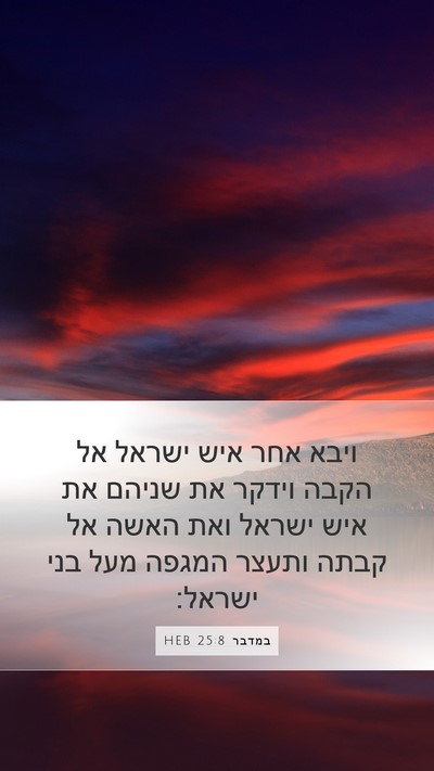במדבר 25:8 HEB Bible Verse Image
