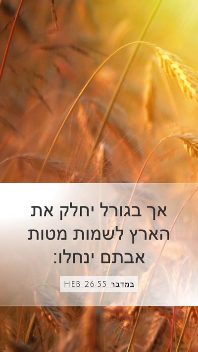 במדבר 26:55 HEB Bible Verse Image