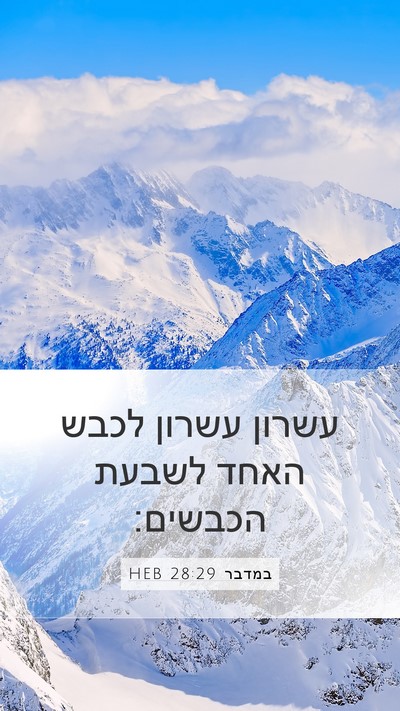 במדבר 28:29 HEB Mobile Phone Wallpaper - עשרון עשרון לכבש האחד - Mobile Bible Verse Wallpaper