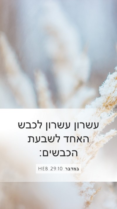 במדבר 29:10 HEB Mobile Phone Wallpaper - עשרון עשרון לכבש האחד - Mobile Bible Verse Wallpaper