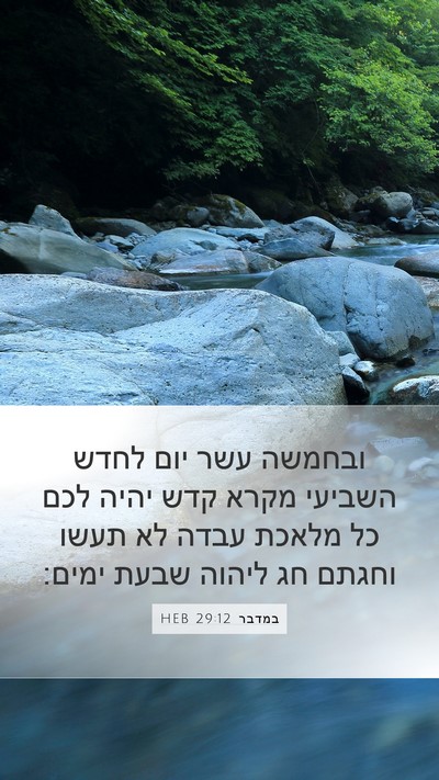 במדבר 29:12 HEB Bible Verse Image