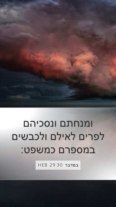 במדבר 29:30 HEB Mobile Phone Wallpaper - ומנחתם ונסכיהם לפרים לאילם - Mobile Bible Verse Wallpaper
