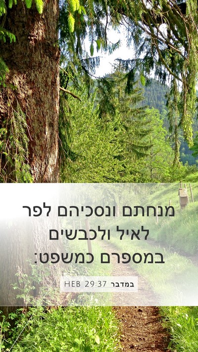 במדבר 29:37 HEB Mobile Phone Wallpaper - מנחתם ונסכיהם לפר לאיל - Mobile Bible Verse Wallpaper