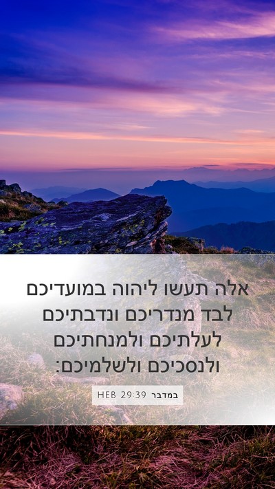 במדבר 29:39 HEB Bible Verse Image