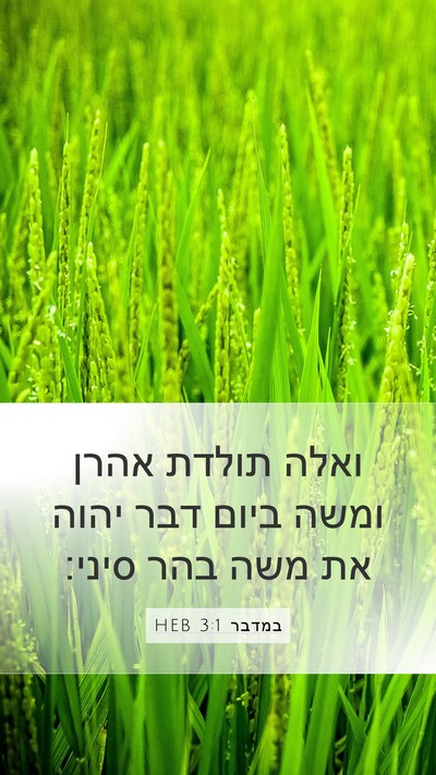 במדבר 3:1 HEB Mobile Phone Wallpaper - ואלה תולדת אהרן ומשה ביום - Mobile Bible Verse Wallpaper