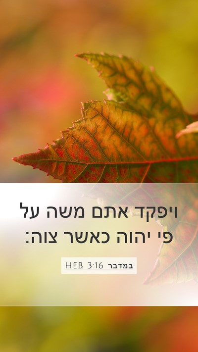 במדבר 3:16 HEB Mobile Phone Wallpaper - ויפקד אתם משה על פי יהוה - Mobile Bible Verse Wallpaper