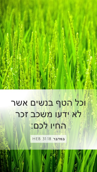 במדבר 31:18 HEB Mobile Phone Wallpaper - וכל הטף בנשים אשר לא ידעו - Mobile Bible Verse Wallpaper