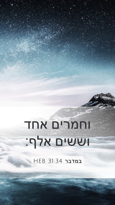 במדבר 31:34 HEB Mobile Phone Wallpaper - וחמרים אחד וששים - Mobile Bible Verse Wallpaper