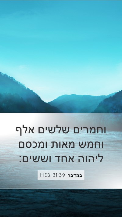 במדבר 31:39 HEB Mobile Phone Wallpaper - וחמרים שלשים אלף וחמש מאות - Mobile Bible Verse Wallpaper