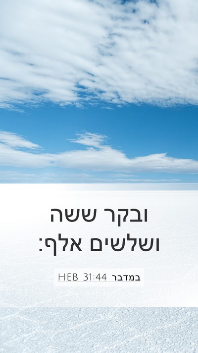 במדבר 31:44 HEB Mobile Phone Wallpaper - ובקר ששה ושלשים - Mobile Bible Verse Wallpaper