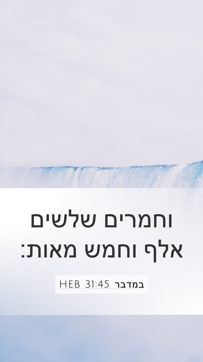 במדבר 31:45 HEB Mobile Phone Wallpaper - וחמרים שלשים אלף וחמש - Mobile Bible Verse Wallpaper
