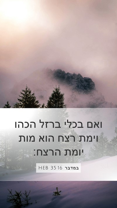 במדבר 35:16 HEB Bible Verse Image