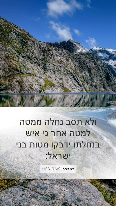 במדבר 36:9 HEB Bible Verse Image