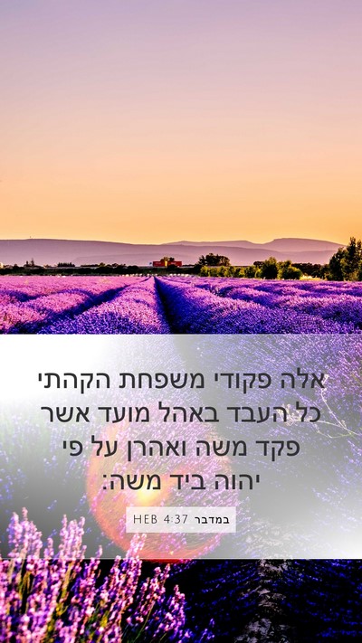 במדבר 4:37 HEB Bible Verse Image