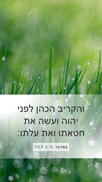 במדבר 6:16 HEB Bible Verse Image