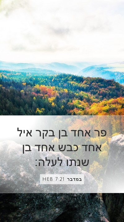 במדבר 7:21 HEB Mobile Phone Wallpaper - פר אחד בן בקר איל אחד כבש - Mobile Bible Verse Wallpaper