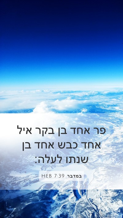 במדבר 7:39 HEB Mobile Phone Wallpaper - פר אחד בן בקר איל אחד כבש - Mobile Bible Verse Wallpaper