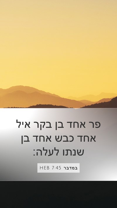 במדבר 7:45 HEB Mobile Phone Wallpaper - פר אחד בן בקר איל אחד כבש - Mobile Bible Verse Wallpaper