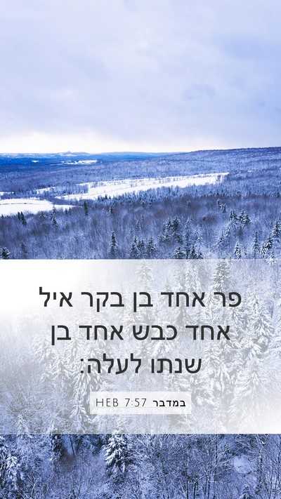 במדבר 7:57 HEB Mobile Phone Wallpaper - פר אחד בן בקר איל אחד כבש - Mobile Bible Verse Wallpaper