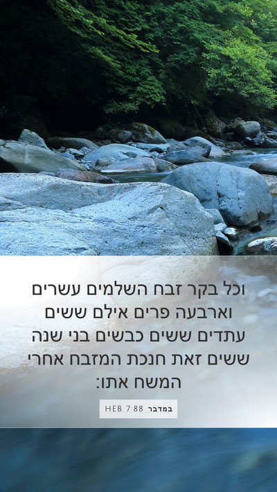 במדבר 7:88 HEB Bible Verse Image