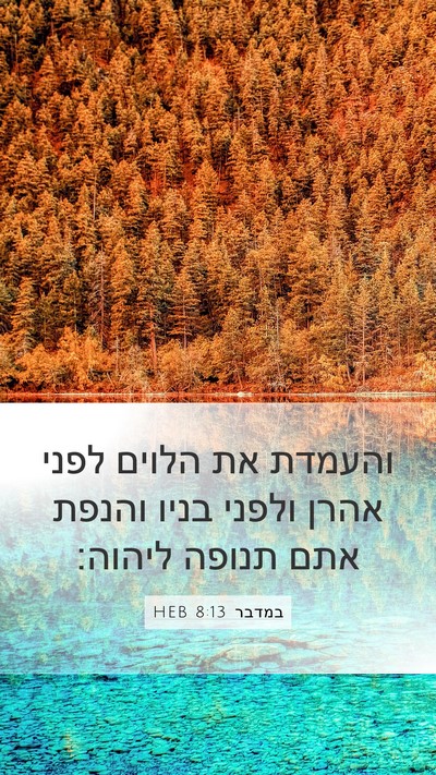 במדבר 8:13 HEB Mobile Phone Wallpaper - והעמדת את הלוים לפני אהרן - Mobile Bible Verse Wallpaper